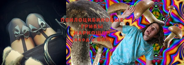 спиды Армянск