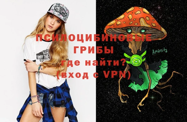 не бодяженный Аркадак