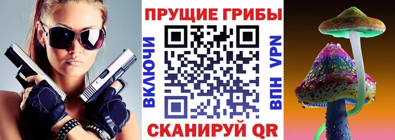 купить закладку Скопин Псилоцибиновые грибы Psilocybine cubensis
